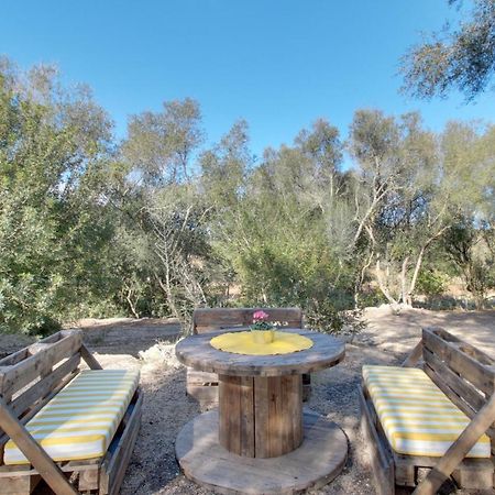 Finca S'Erissal De Costitx Bagian luar foto